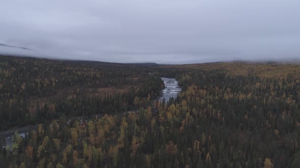 River In The Middle Of The Forest