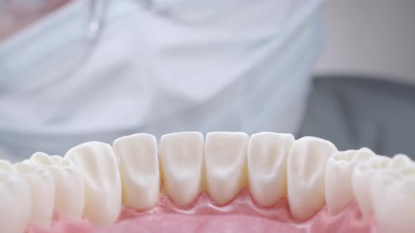 Dentist in Glasses Inspecting Teeth  alt