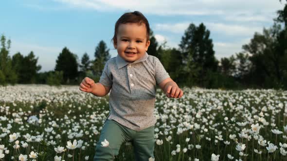 A Little Boy Runs and Smiles Across a Flower Meadow