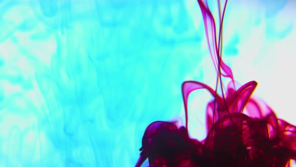Vivid Color Paint Ink Drops in Water Slow Motion Video White Background alt
