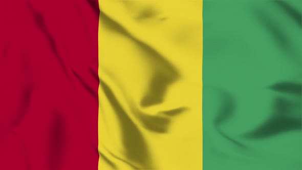 4K Guinea Flag - Loopable
