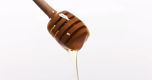 Honey Flowing from Spoon against White Background, Real Time 4K