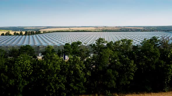 Aerial Top View of Venlo or Dutch Greenhouse Plant alt