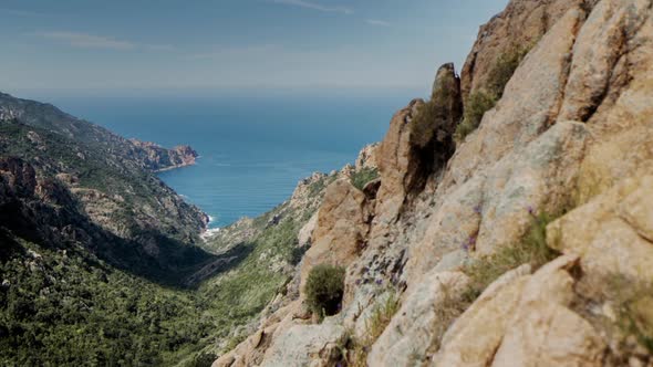 Piana corsica wild coast atlantic nature environment sea alt