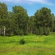 Moving along a wild fields and green forest - VideoHive Item for Sale