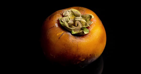 Yellow Persimmon on a Black Background Rotting, Time Lapse,  Video alt