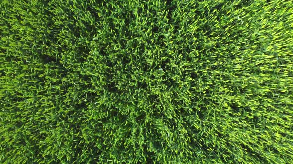 Aerial View of the Railway alt