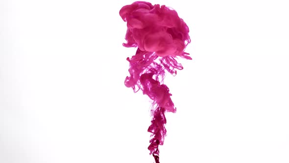 Fuchsia Color Paint Burst alt