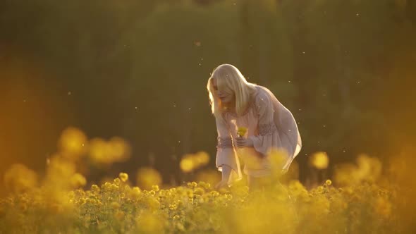 Woman in the Field Picking Flowers on Sunset