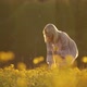 Woman in the Field Picking Flowers on Sunset - VideoHive Item for Sale