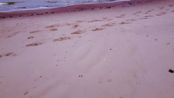 Beautiful aerial view of an old wooden pier at the Baltic sea coastline, overcast day, white sand be alt