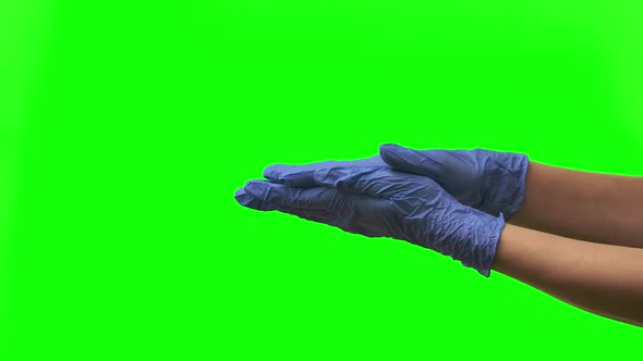 Doctors Female Hands in Blue Gloves Are Clapping. Green Screen. Close Up alt