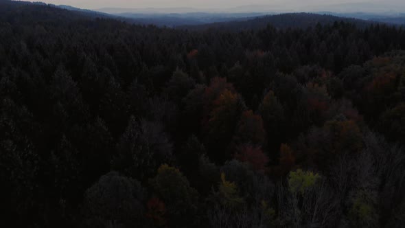 Aerial clip of a forest in the Bavarian alps area, with a camera up tilt to reveal the mountains pan alt