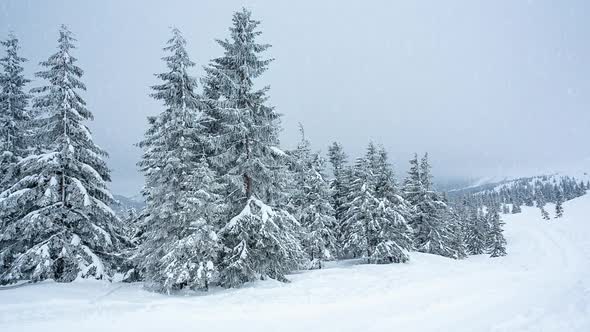 Beautiful Winter Landscape with Snow Covered Trees alt