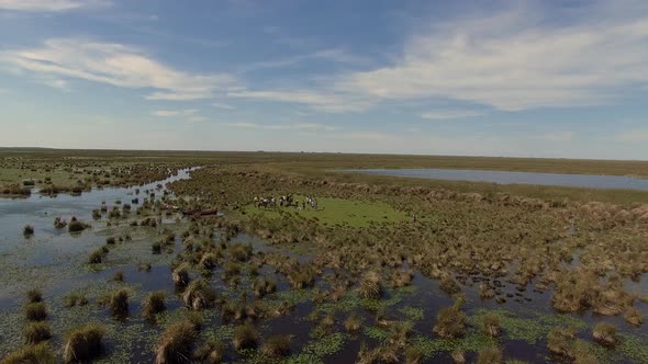 Aerial shot panning across Ibera Wetlands, Corrientes Province, Argentina alt