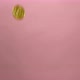 Golden bitcoin digital currency drop on isolated on pink background. - VideoHive Item for Sale