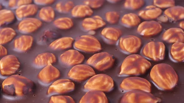 Hazelnuts in Chocolate