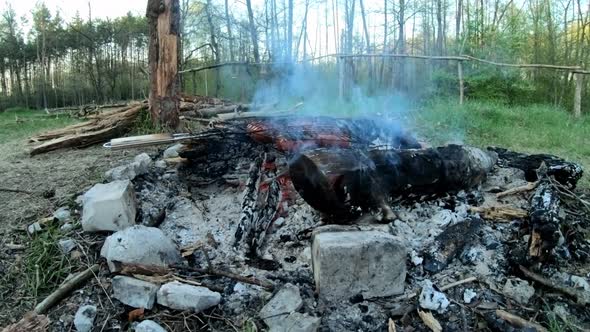 Flames Of A Burning Fire On A Background Of Summer Forest. Roasted Sausages. alt