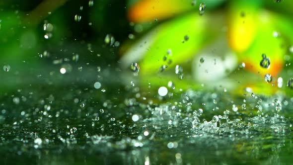 Super Slow Motion Shot of Raining at Green Water Surface 1000Fps alt