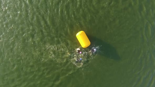 Triathlon Swimming Competition alt