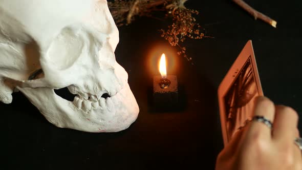 World Tarot Card alt