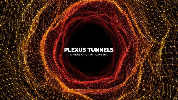 Plexus Tunnels