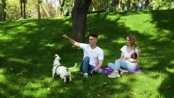Young family spending summer day with baby and pet Jack Russell Terrier alt