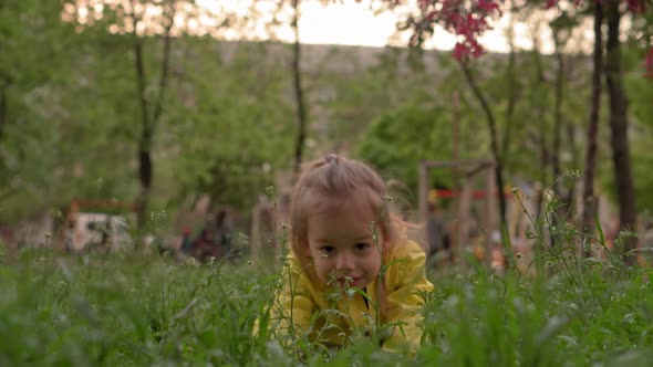 Authentic Cute Little Preschool Baby Girl in Yellow Pink Collect Flowers in Park Crawling on Grass