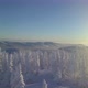 Aerial view of the trees in the snow on the mountainside - VideoHive Item for Sale