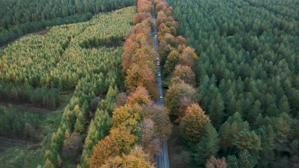 Aerial drone view of a straight countryside road through the wood