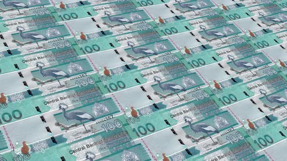 Gambia  Money / 100 Gambian Dalasi 4K alt