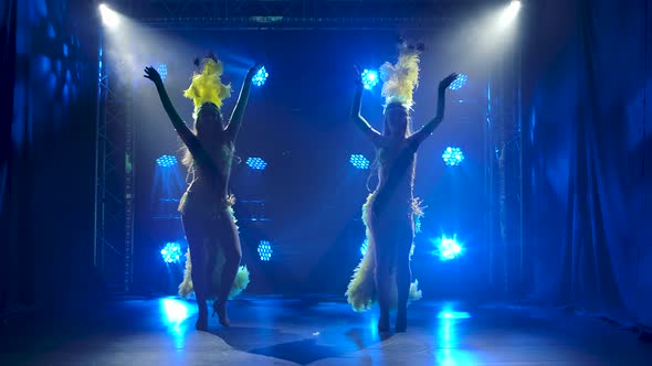 Silhouette of Two Passionate Young Women Dancing Samba Music at a Carnival Party. Dancers in alt