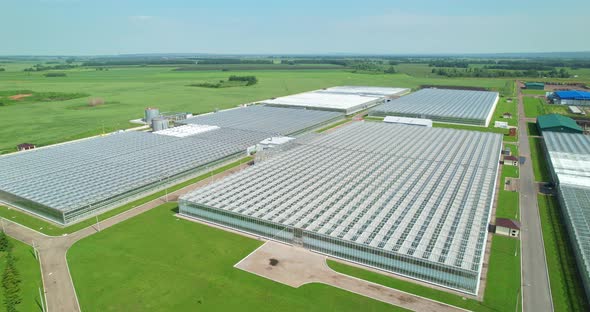 Large Industrial Greenhouses with Vegetables