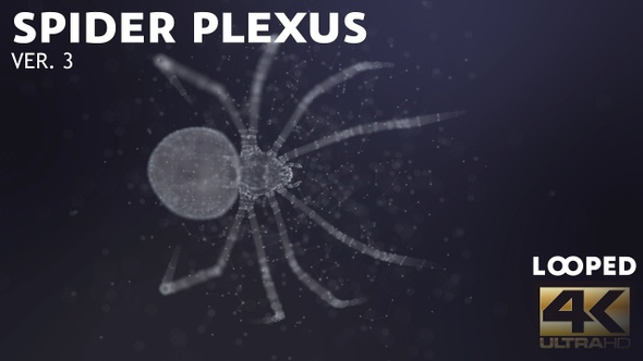 Plexus Spider Ver.3