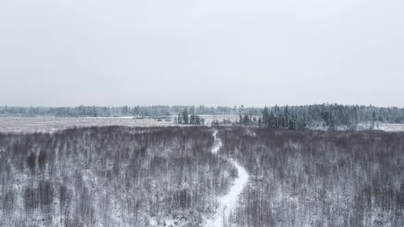 Winter Snow Covered Field with Forest and Path Flying alt