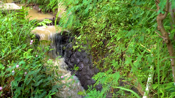 Dirty, muddy water flows down tiny waterfall on stream alt