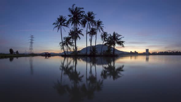 Timelapse fisheye view of coconut trees and surroundings alt