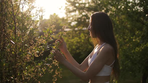 Young Woman Touching Plant in Garden at Sunset Time