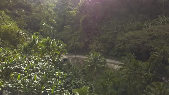 Man Riding Red Scooter Down the Beautiful Road alt