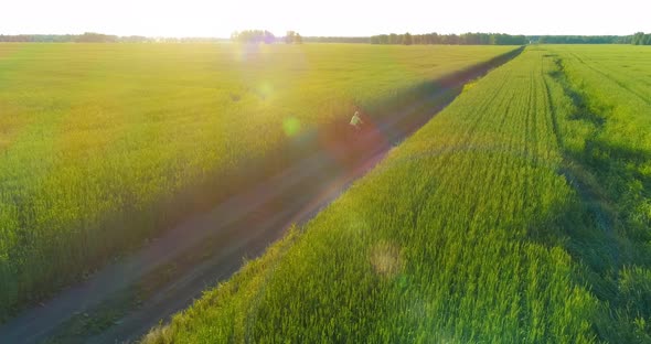 Aerial View on Young Boy, That Rides a Bicycle Thru a Wheat Grass Field on the Old Rural Road alt