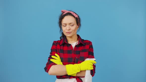 Confident Housewife Spraying with Detergent Aside at Dirty Spot Posing to Camera with Crossed Hands alt