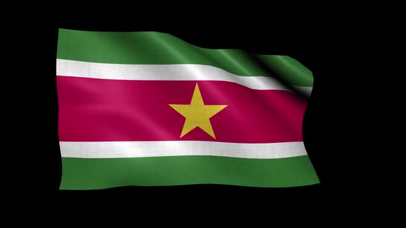 Suriname Flag alt