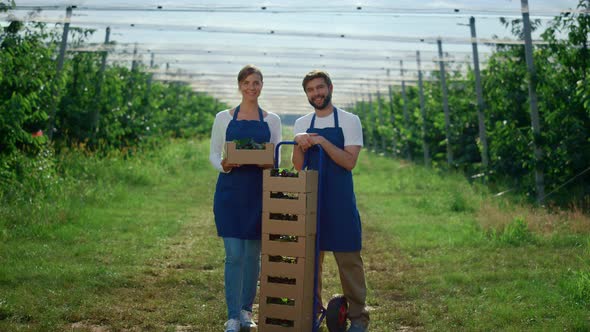 Attractive Couple Holding Berry Box at Modern Sunny Summer Garden alt
