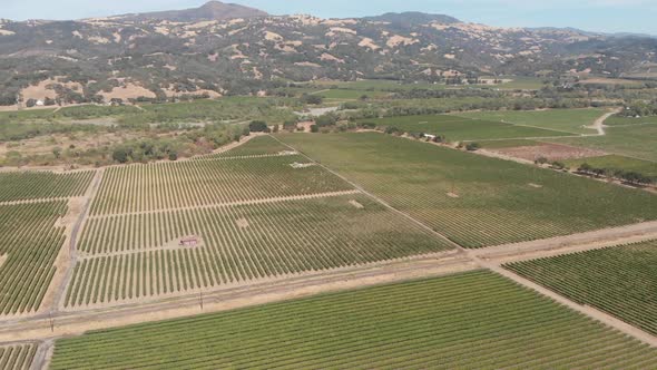 Aerial of Sonoma valley wineries in California.  Famous wine growing region in the United States of alt