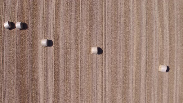 Top View Aerial View of Stubble Field alt