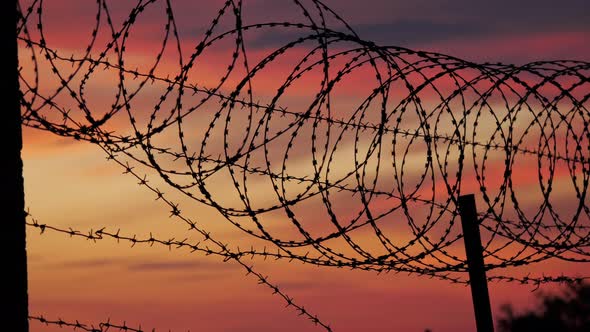 The Fence with Barbed Wire on the Background of a Cloudy Redblue Sky alt