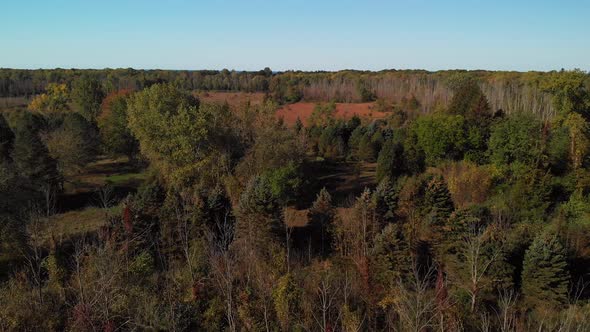 Aerial Of Autumn Woods Near Lake Michigan
