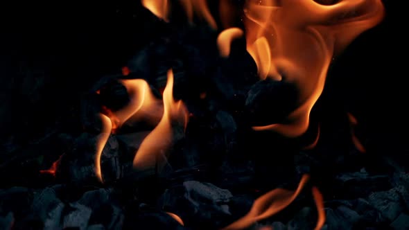 Burning Log Fire Flames in the grill. Beautiful fire burns brightly.  alt