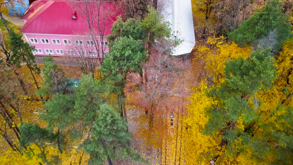 Aerial railway station in yellow autumn forest