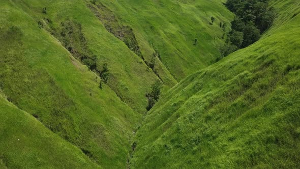 Flight Over a Green Grassy Rocky Hills